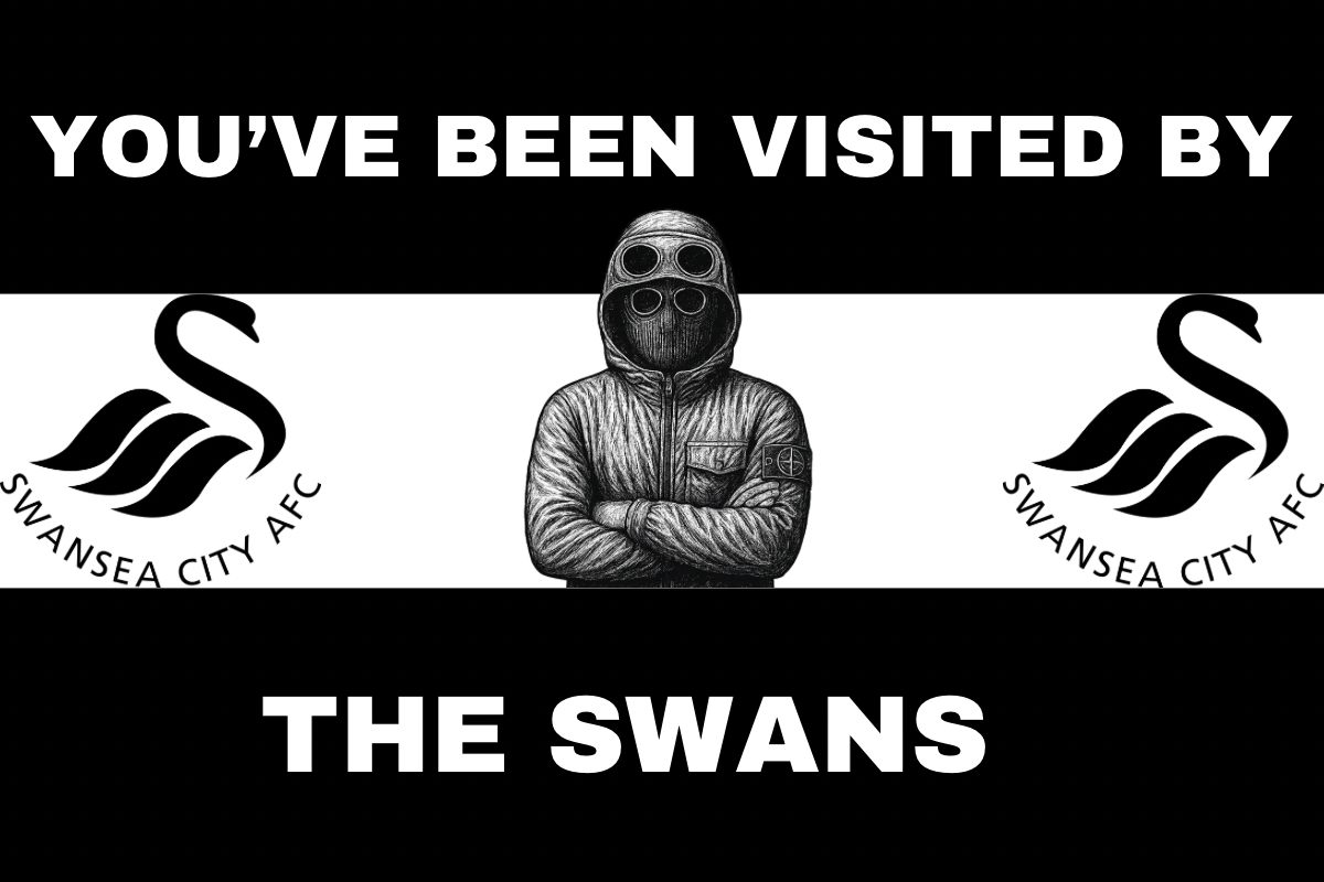 You’ve been visited by the swans - Swansea city