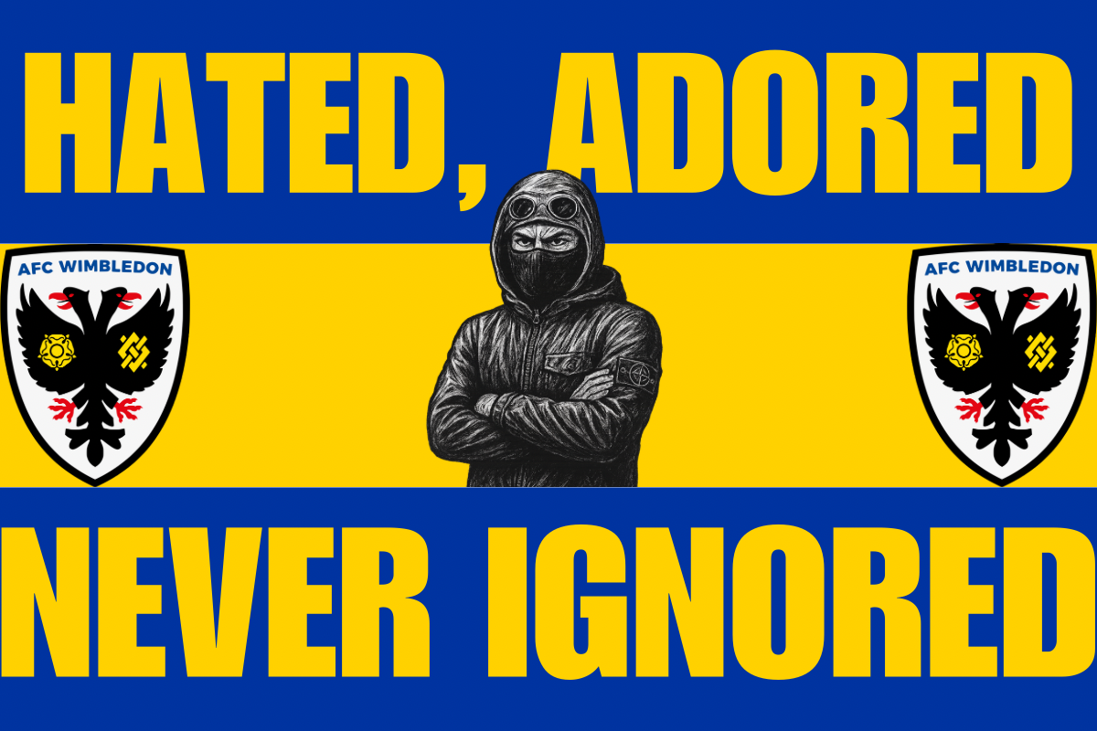 Hated adored never ignored - AFC Wimbledon