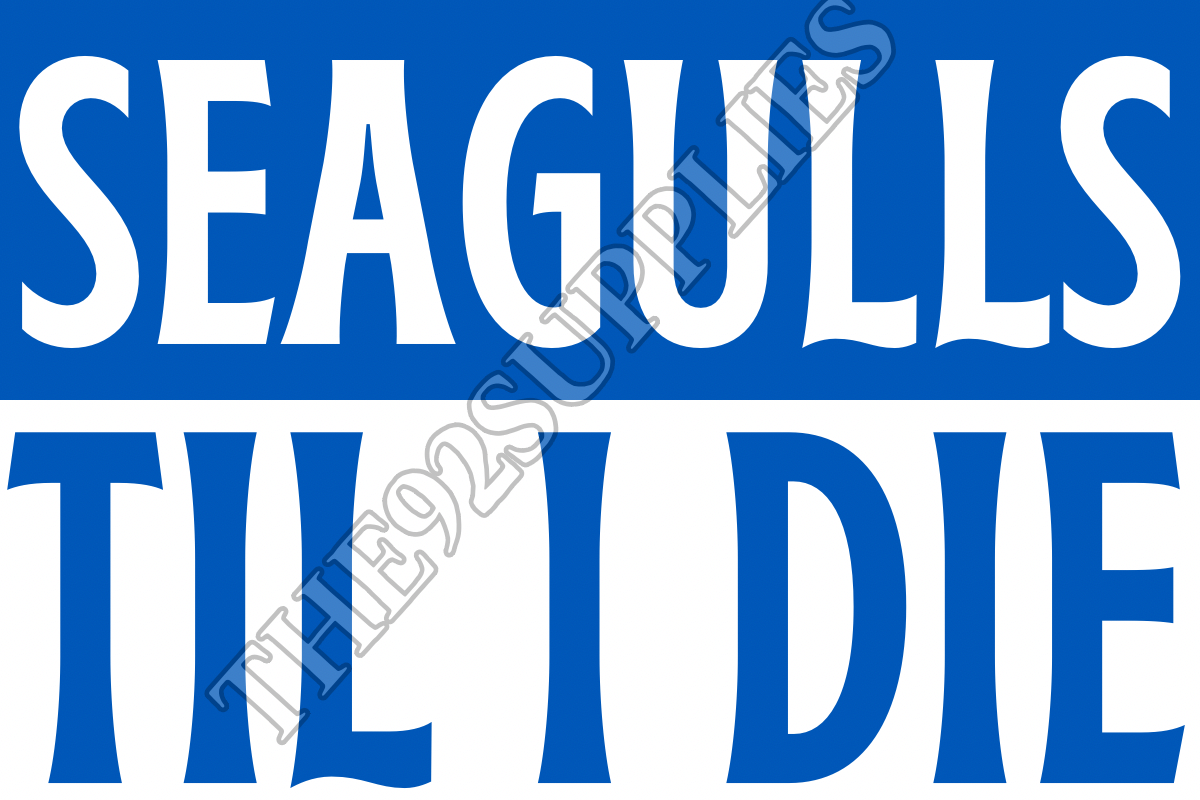Seagulls til I die x8 - Brighton