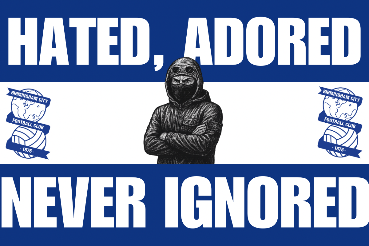 Hated , adored , never ignored - Birmingham city