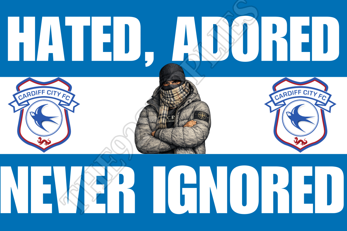Hated. Adored. Never ignored - Cardiff city