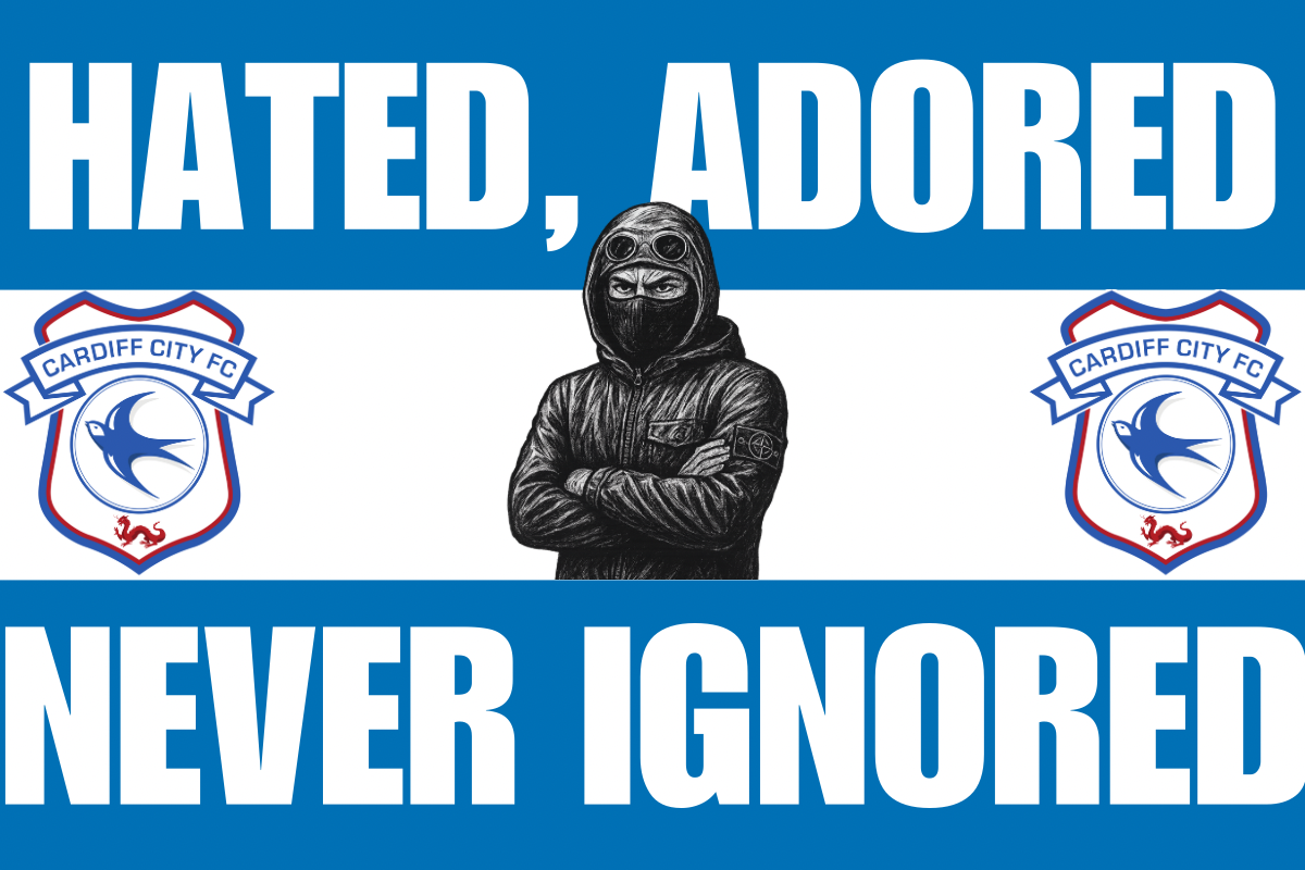 Hated adored never ignored - Cardiff city