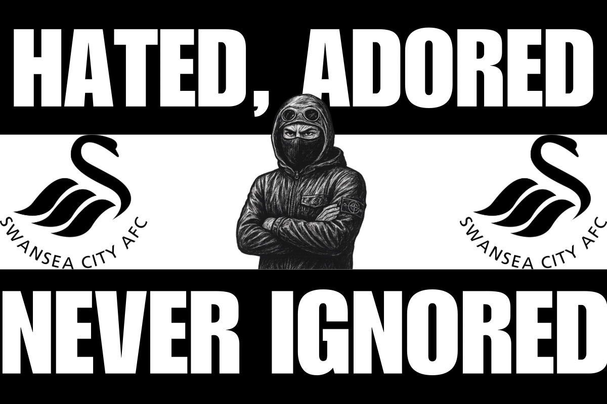 Hated adored never ignored - Swansea City