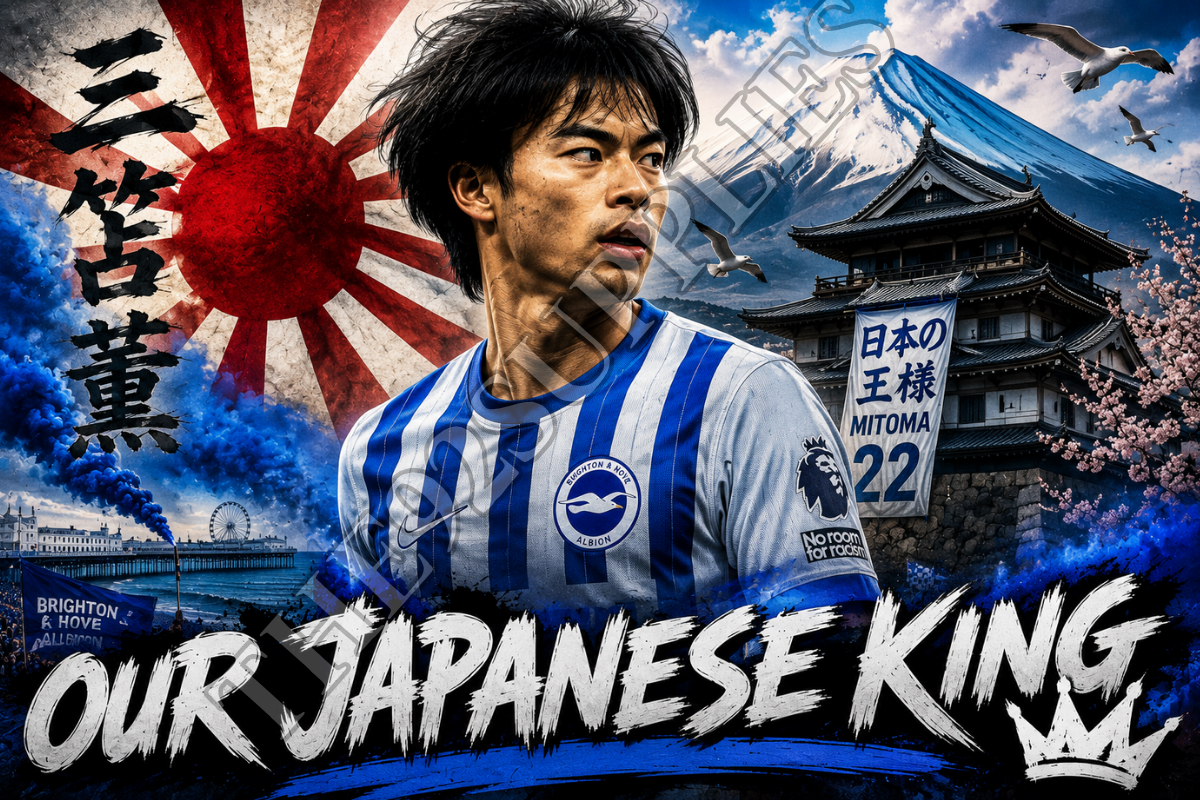 Our Japanese king x8 - Brighton