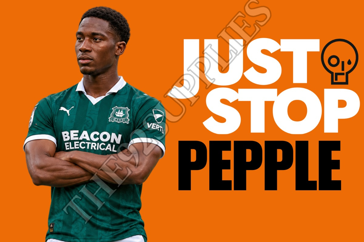 Just stop pepple x8 - Plymouth