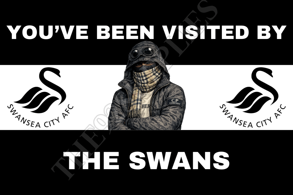 You’ve been visited by the swans - Swansea