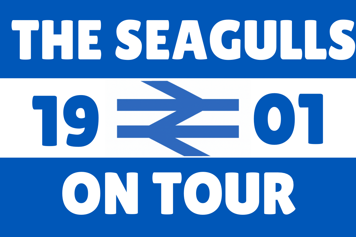 The seagulls on tour - Brighton & Hove