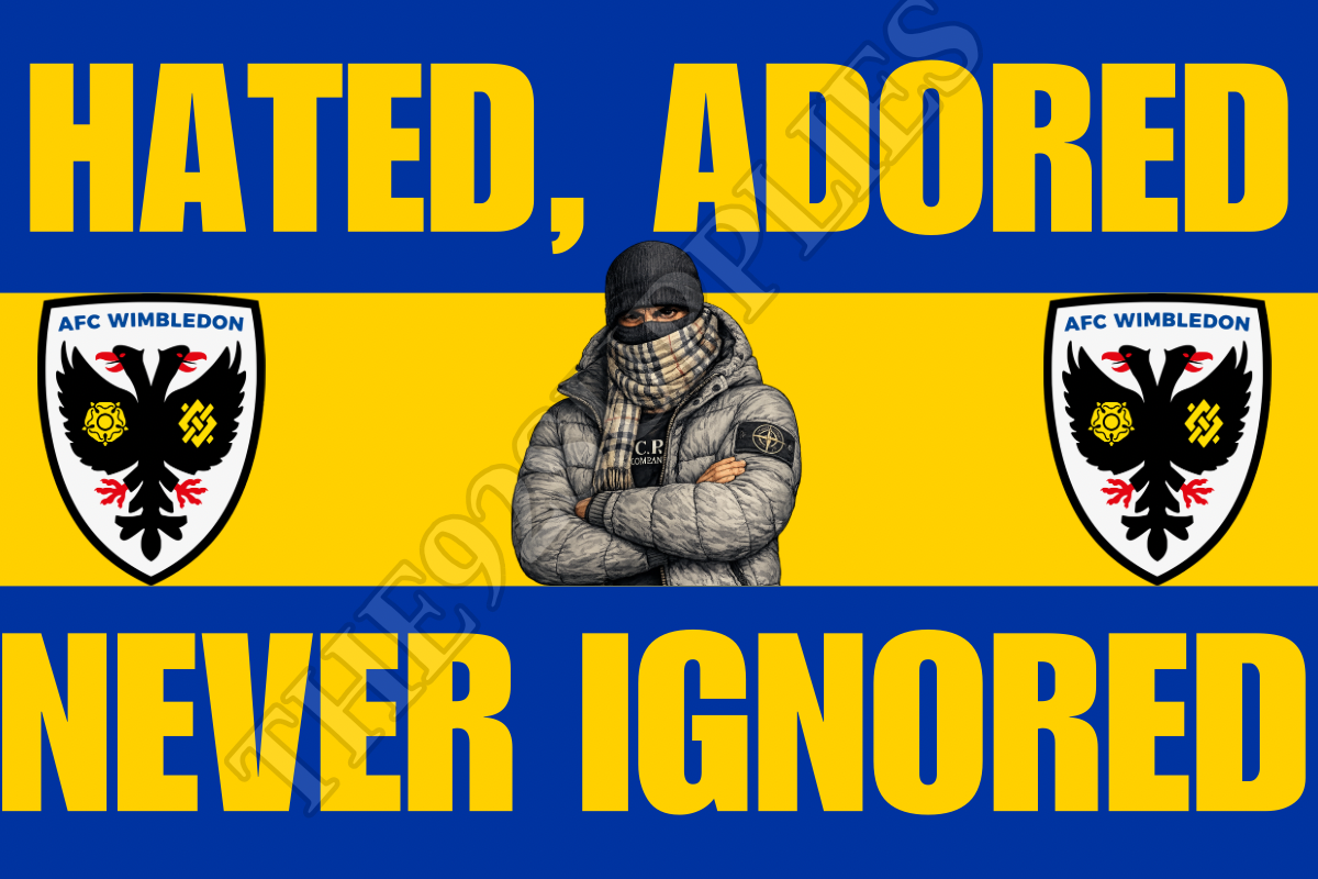Hated. Adored. Never ignored - Afc Wimbledon