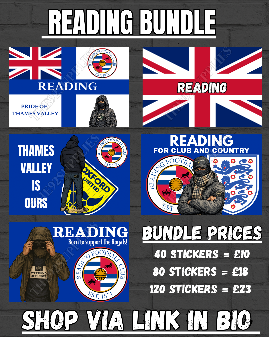 Reading Sticker Bundle