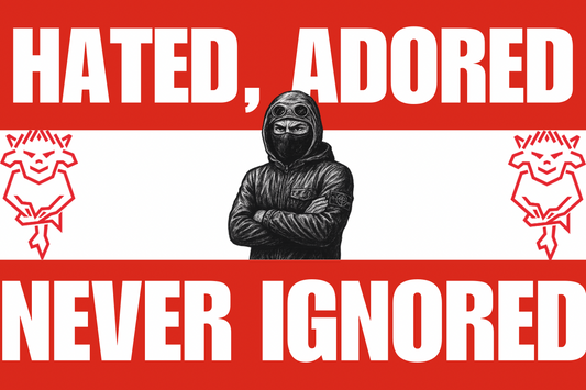 Hated adored never ignored - Lincoln City
