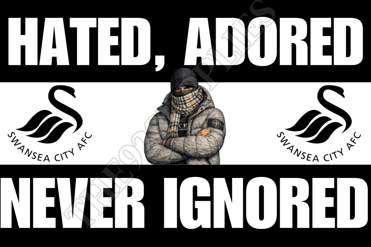Hated. Adored. Never ignored - Swansea