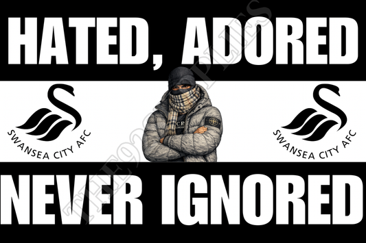 Hated. Adored. Never ignored - Swansea