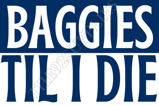 Baggies till I die - West Bromwich Albion