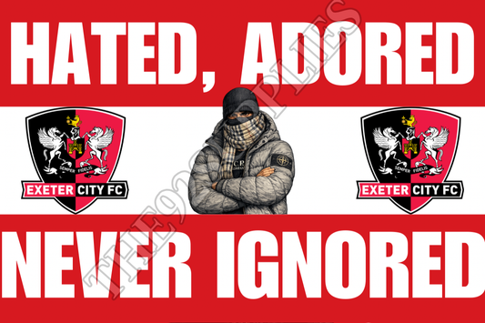 Hated. Adored. Never ignored x8 - Exeter city