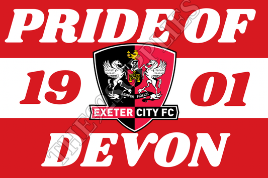 Pride of Devon x8 - Exeter city