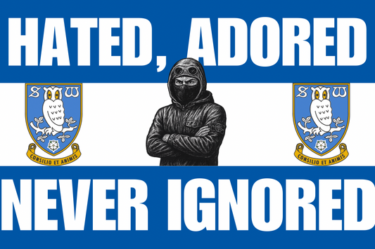 Hated adored never ignored - Sheffield Wednesday