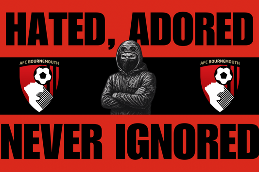 Hated , adored , never ignored - Bournemouth
