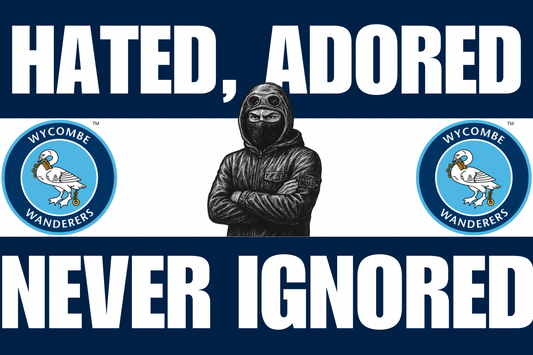 Hated adored never ignored - Wycombe wanderers