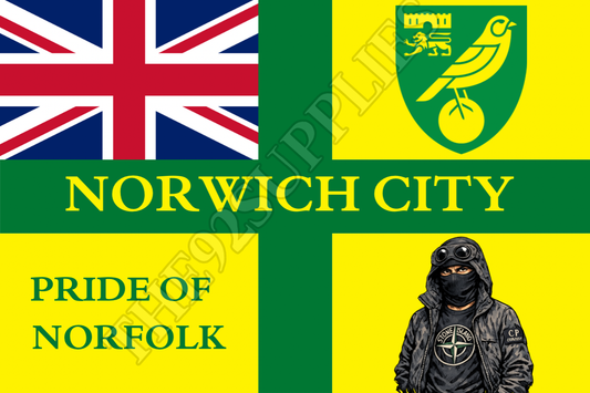 St George’s , pride of Norfolk - Norwich