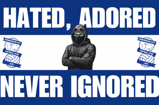 Hated , adored , never ignored - Birmingham city