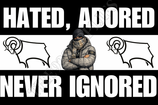 Hated. Adored. Never ignored - Derby county