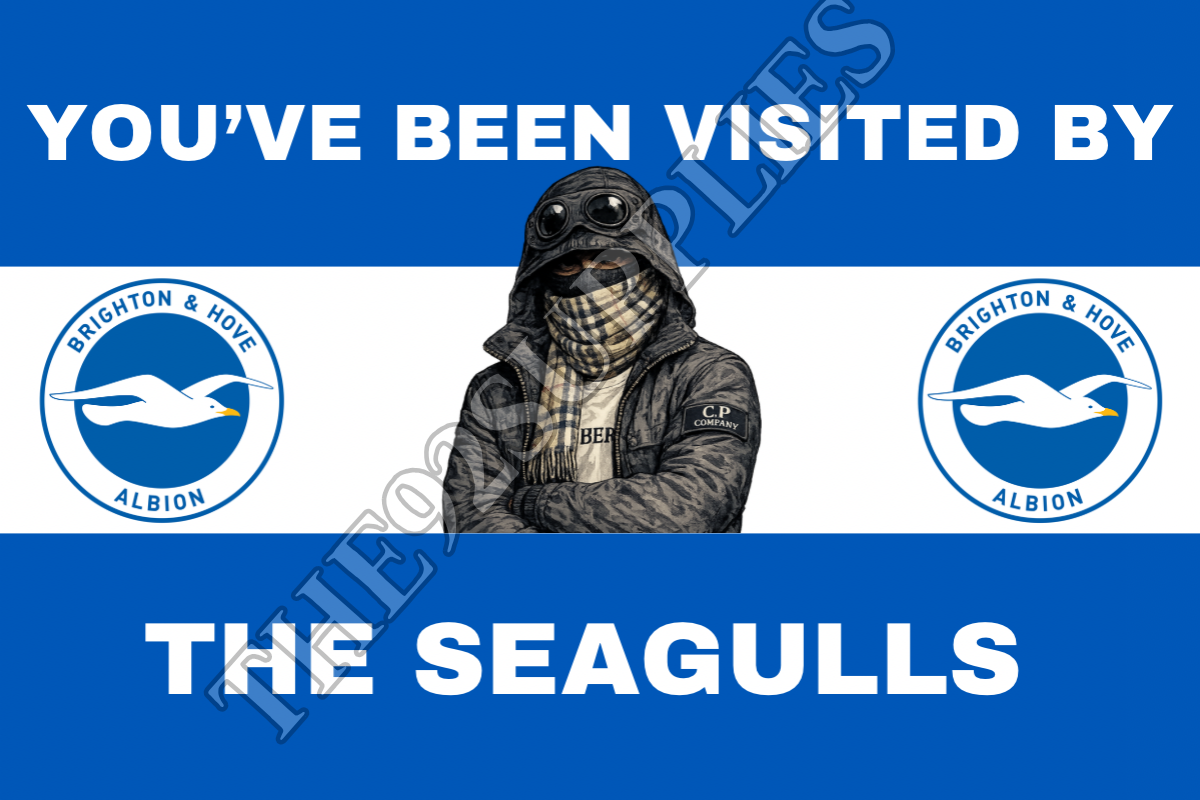 You’ve been visited by the seagulls x8 - Brighton