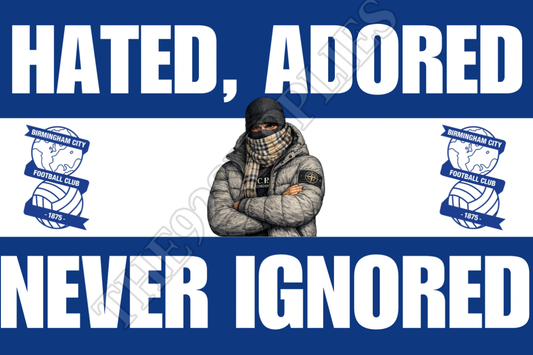 Hated. Adored. Never ignored x8 - Birmingham city