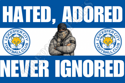 Hated adored never ignored - Leicester City