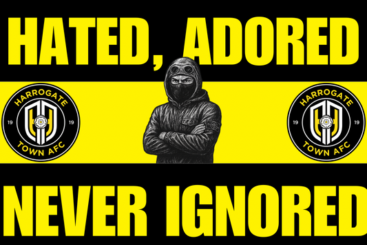 Hated adored never ignored - Harrogate town