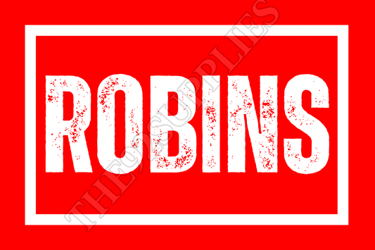 Robins on tour x8 - Bristol City
