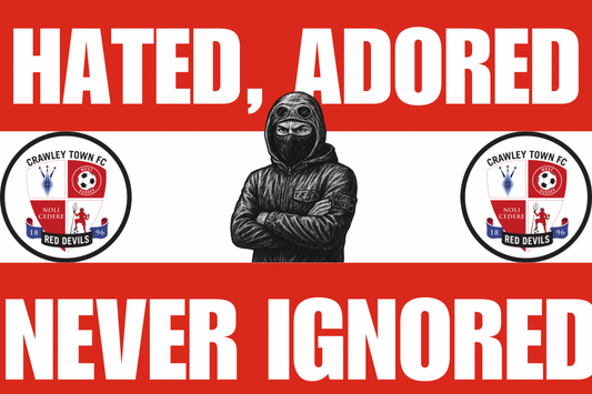 Hated adored never ignored - Crawley town