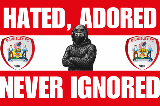 Hated adored never ignored - Barnsley