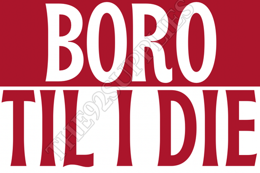 Boro til I die - Stevenage