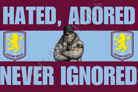 Hated , adored , never ignored - Aston Villa