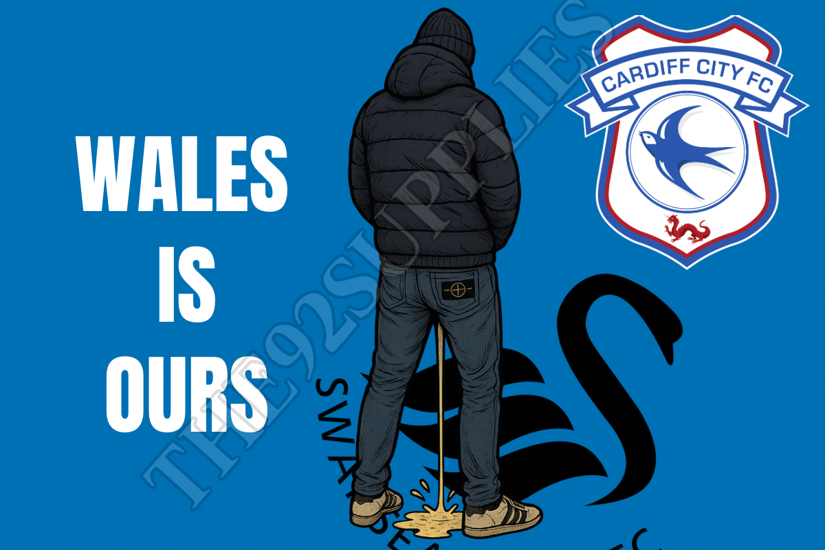Wales is ours - Cardiff city