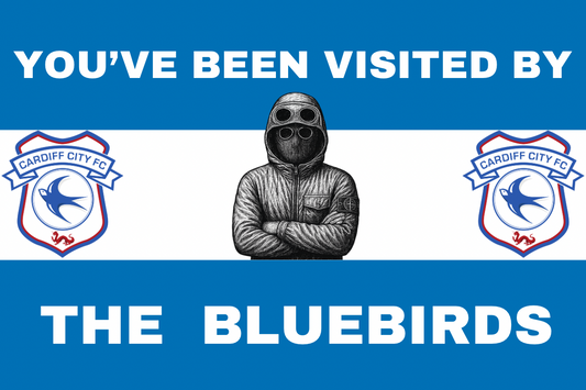 You’ve been visited by the bluebirds - Cardiff city