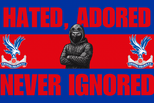 Hated , adored , never ignored - Crystal Palace