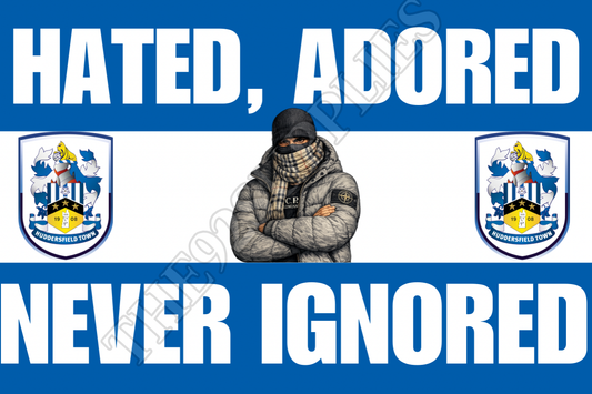 Hated. Adored. Never ignored - Huddersfield town