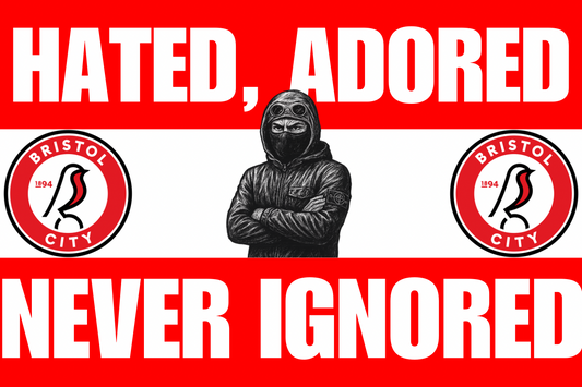 Hated adored never ignored - Bristol city