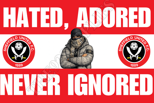 Hated. Adored. Never ignored - Sheffield United