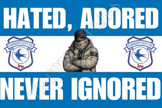 Hated. Adored. Never ignored - Cardiff city