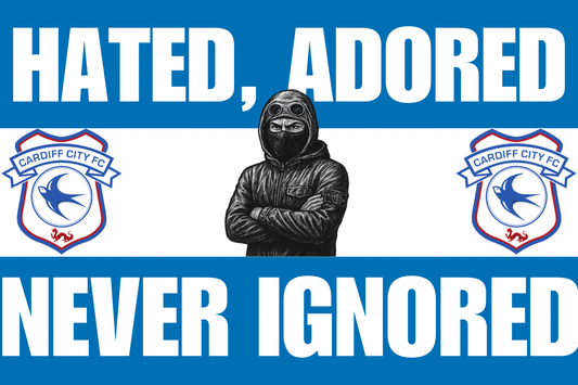 Hated adored never ignored - Cardiff city