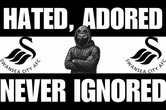 Hated adored never ignored - Swansea City
