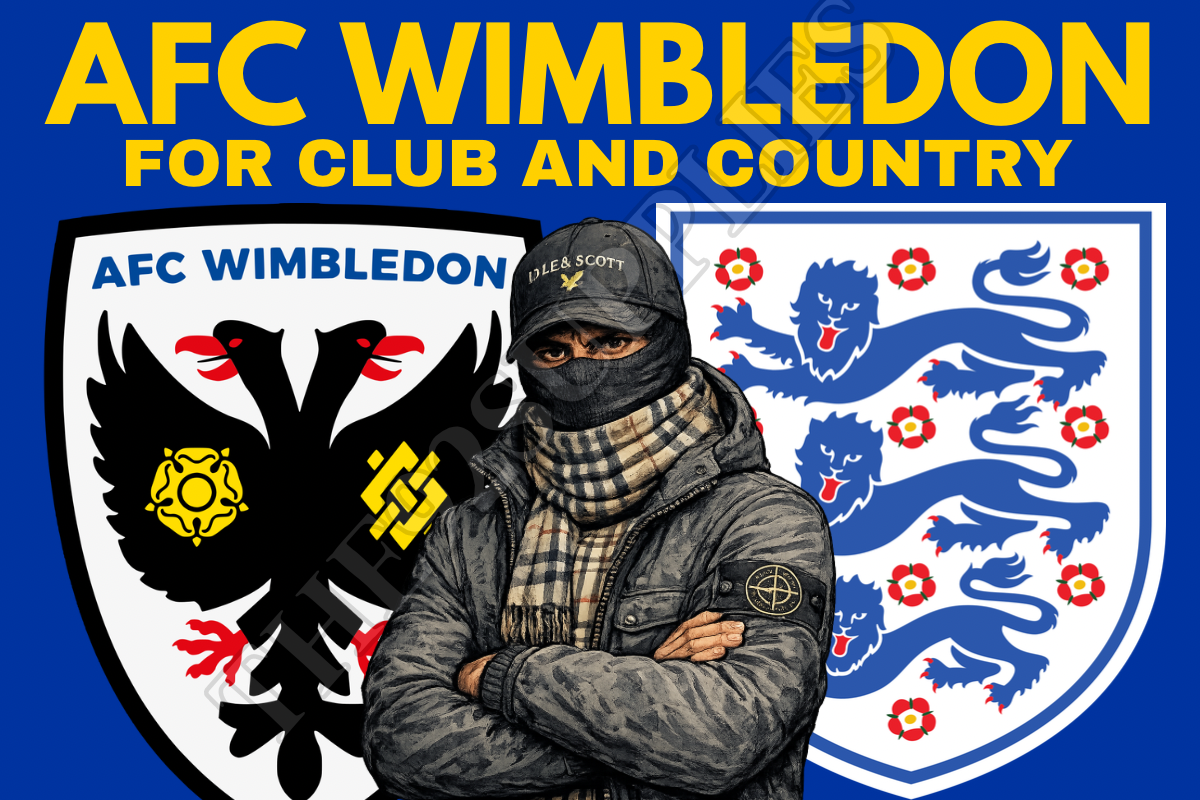 For club and country - Afc Wimbledon