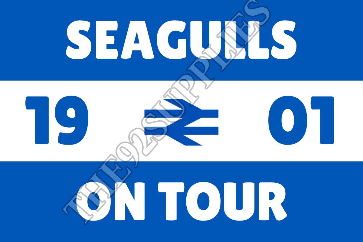 Seagulls on tour x8 - Brighton