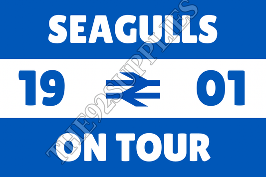 Seagulls on tour x8 - Brighton