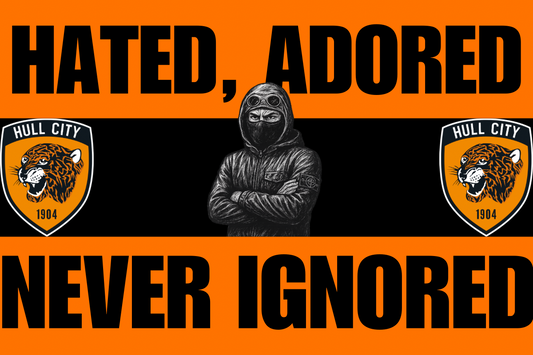 Hated , adored , never ignored - Hull city