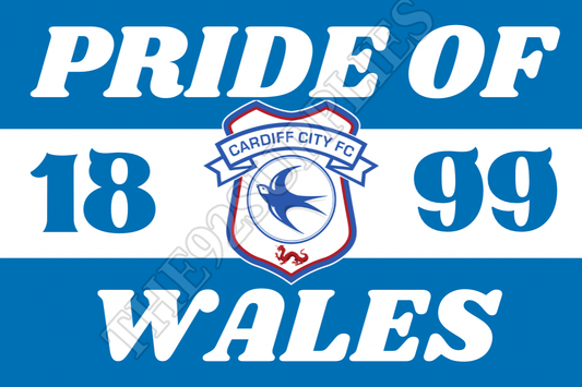 Pride of wales - Cardiff city