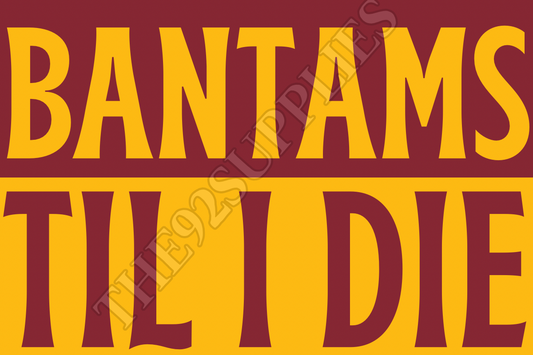 Bantams til I die - Bradfoddn