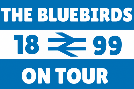 The bluebirds on tour - Cardiff city
